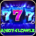 andy flower Bonus Plus v2.8.1