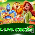 bpl live cricket King v4.3.0