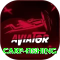 carp fishing Casino Official v5.9.8