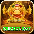 cricket bat Bonus Deluxe v1.5.9