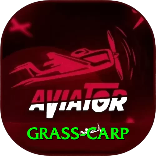 grass carp - VIP Deluxe - 2