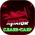 grass carp - VIP Deluxe