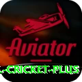 international cricket - Turbo Edition v4.8.6