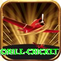 mobile cricket Pakistan Champion v4.8.7