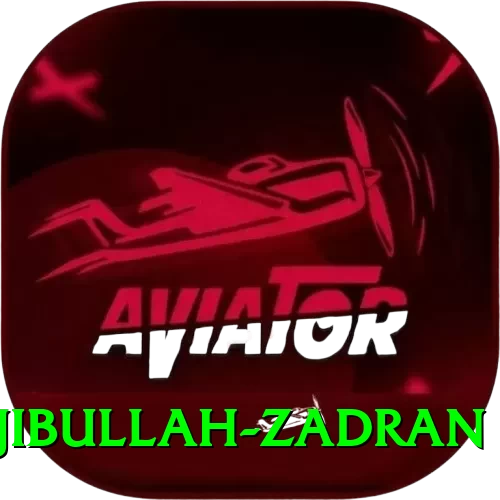 najibullah zadran VIP Slots - 2