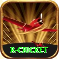 r cricket APK Ultimate v1.2.8