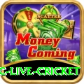 smartcric live cricket Extreme PK v2.1.1