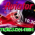 sturgeon fish Casino Ultimate v1.8.8