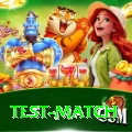 test match Slots VIP v2.6.7