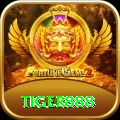 tiger888 Live Royal v2.0.6